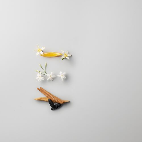 ultimate reset masque réparation extrême - ultimate reset | L'Oréal Partner Shop